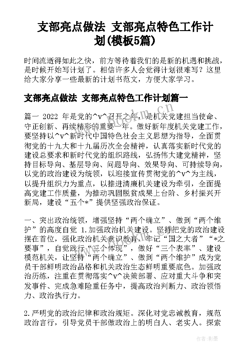 支部亮点做法 支部亮点特色工作计划(模板5篇)