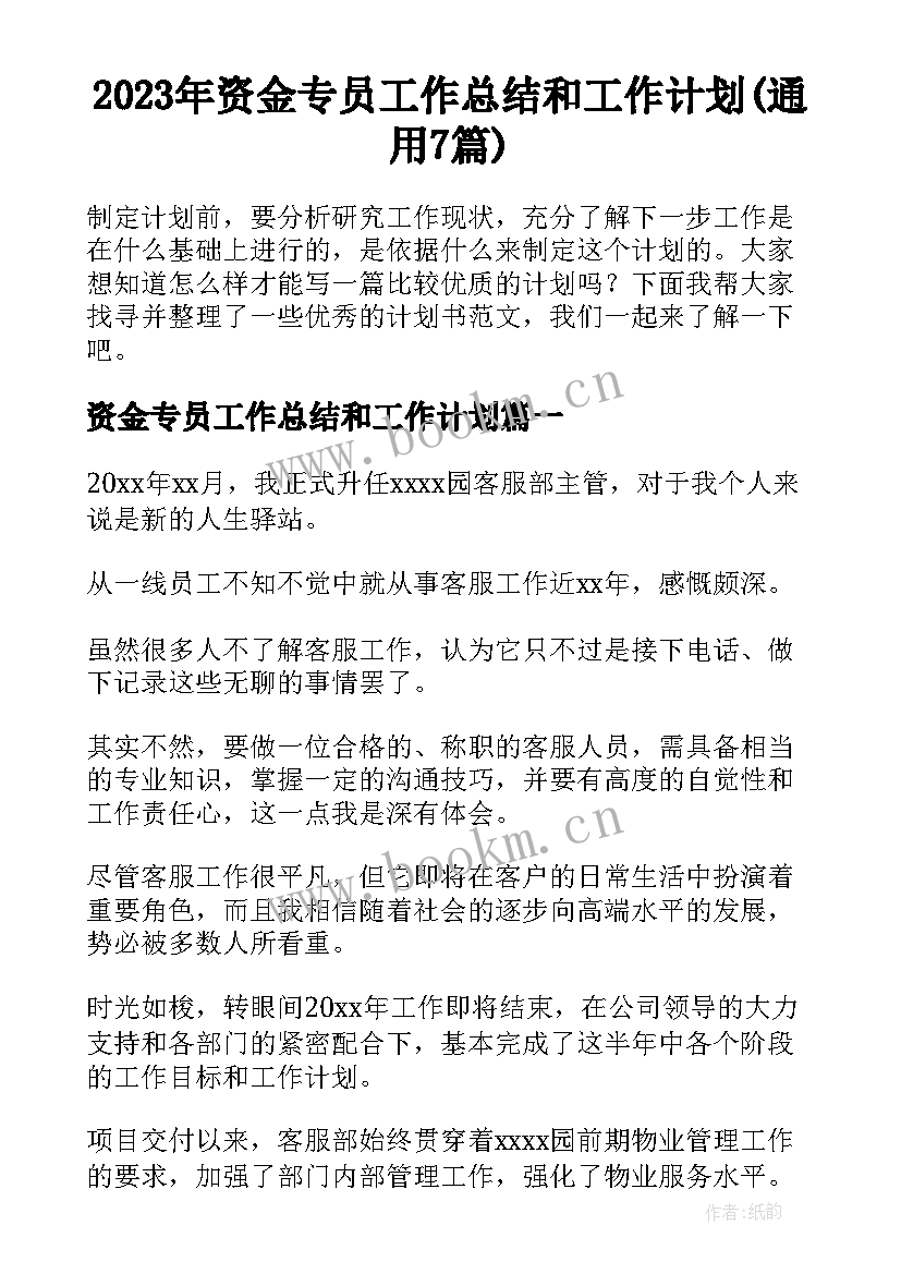 2023年资金专员工作总结和工作计划(通用7篇)