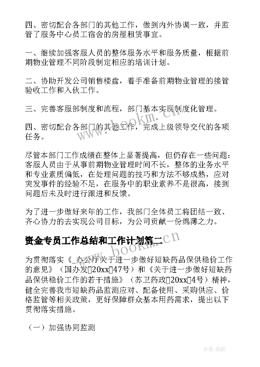 2023年资金专员工作总结和工作计划(通用7篇)