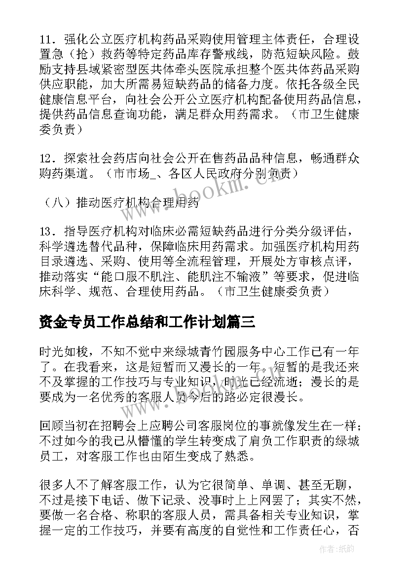 2023年资金专员工作总结和工作计划(通用7篇)