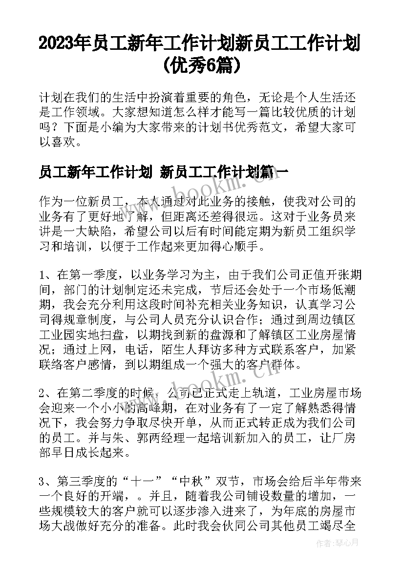 2023年员工新年工作计划 新员工工作计划(优秀6篇)