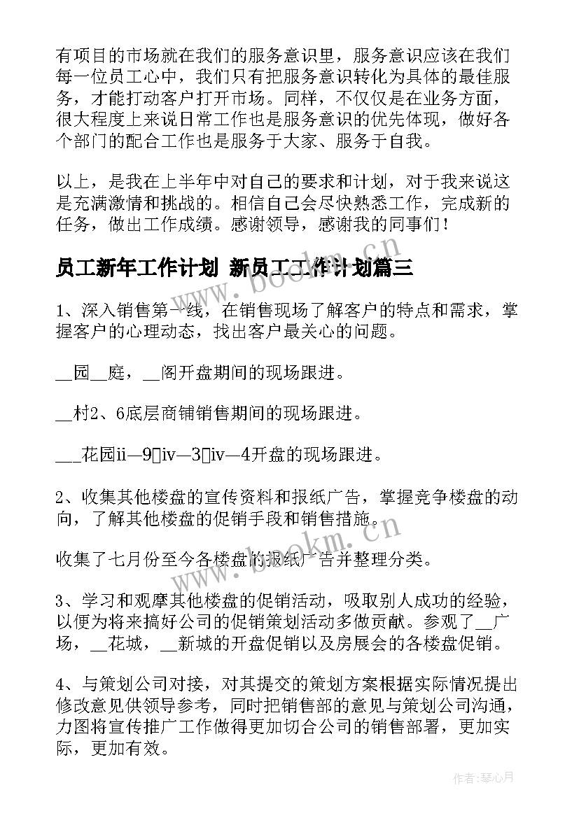 2023年员工新年工作计划 新员工工作计划(优秀6篇)