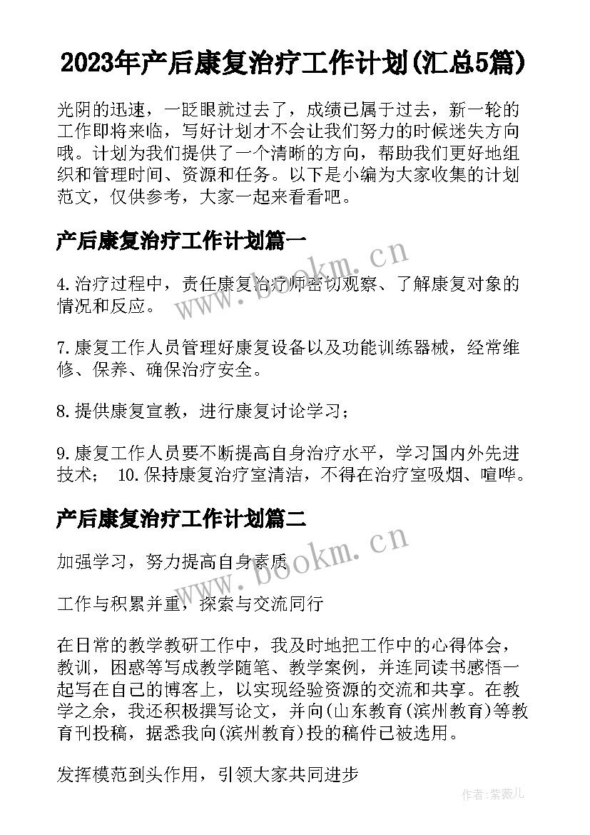 2023年产后康复治疗工作计划(汇总5篇)