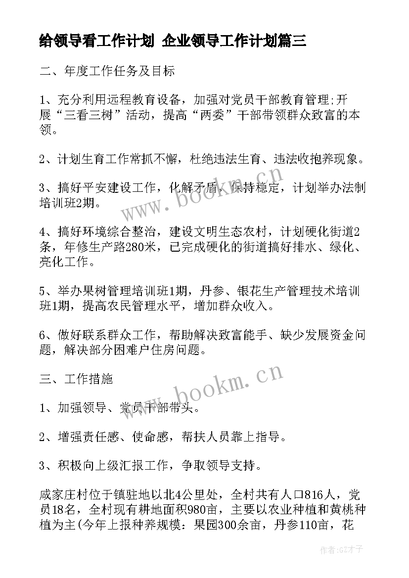 最新给领导看工作计划 企业领导工作计划(优质8篇)