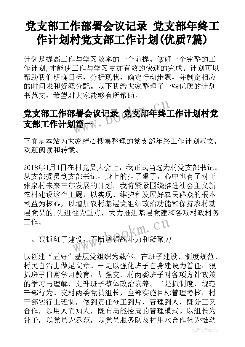 党支部工作部署会议记录 党支部年终工作计划村党支部工作计划(优质7篇)