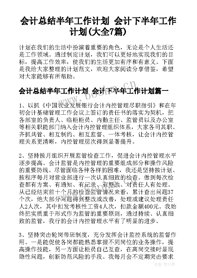 会计总结半年工作计划 会计下半年工作计划(大全7篇)