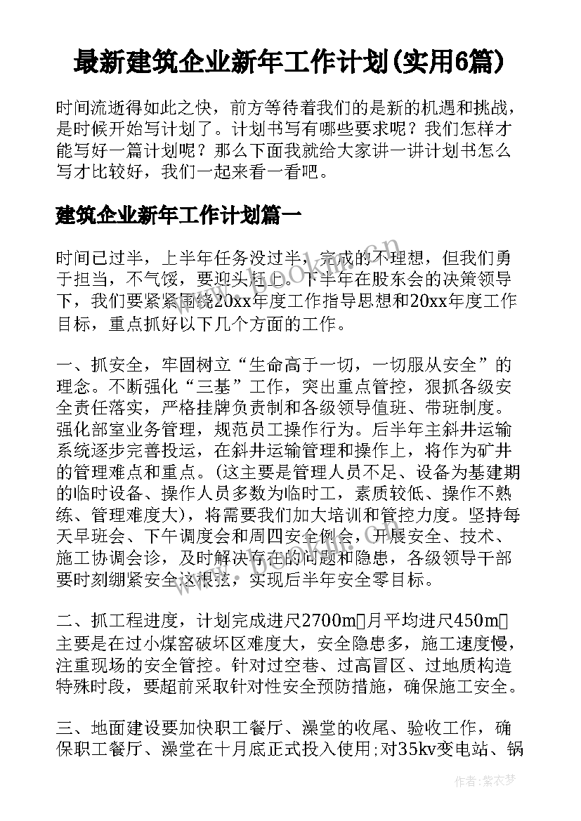 最新建筑企业新年工作计划(实用6篇)