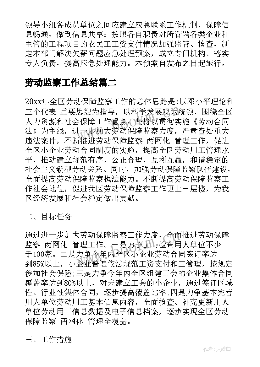 2023年劳动监察工作总结(通用5篇)