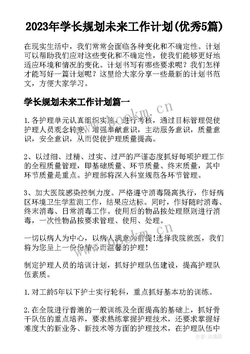 2023年学长规划未来工作计划(优秀5篇)