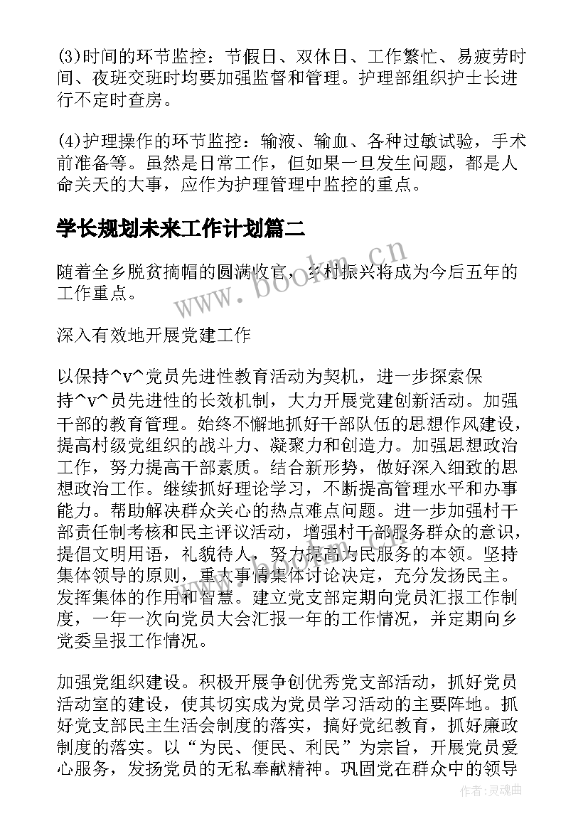 2023年学长规划未来工作计划(优秀5篇)