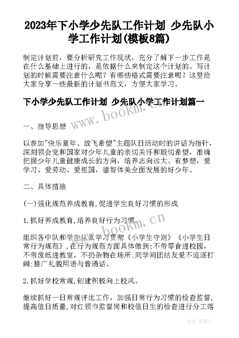 2023年下小学少先队工作计划 少先队小学工作计划(模板8篇)