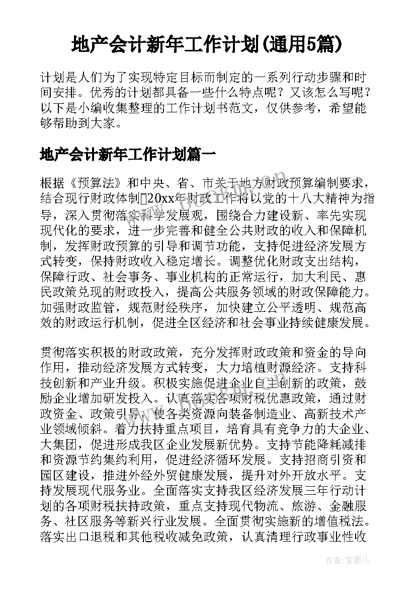 地产会计新年工作计划(通用5篇)