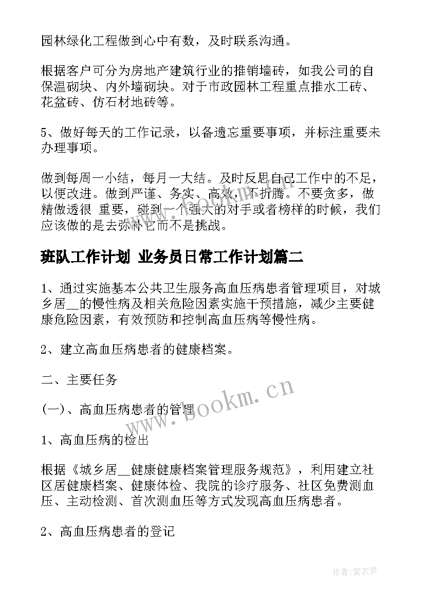 班队工作计划 业务员日常工作计划(汇总7篇)