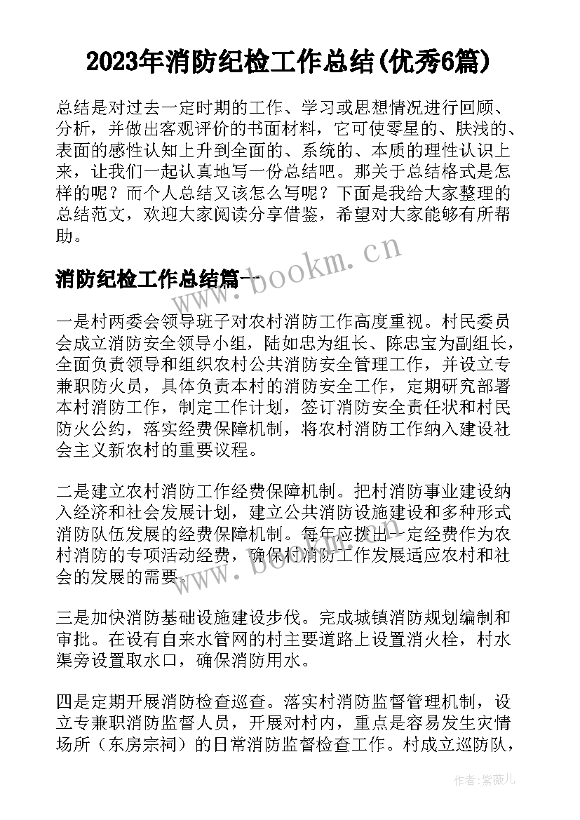 2023年消防纪检工作总结(优秀6篇)