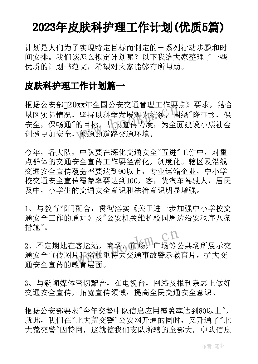 2023年皮肤科护理工作计划(优质5篇)