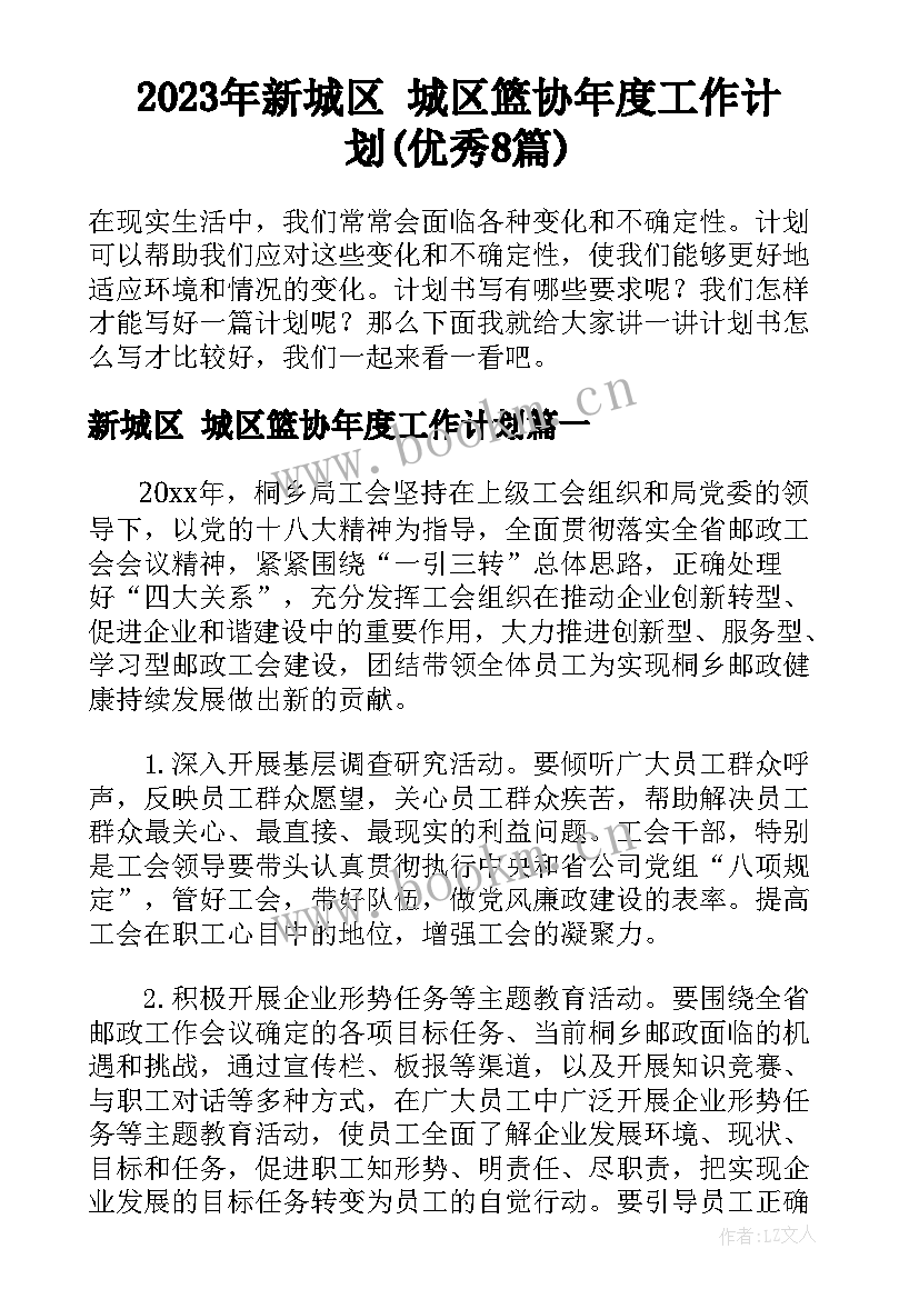 2023年新城区 城区篮协年度工作计划(优秀8篇)