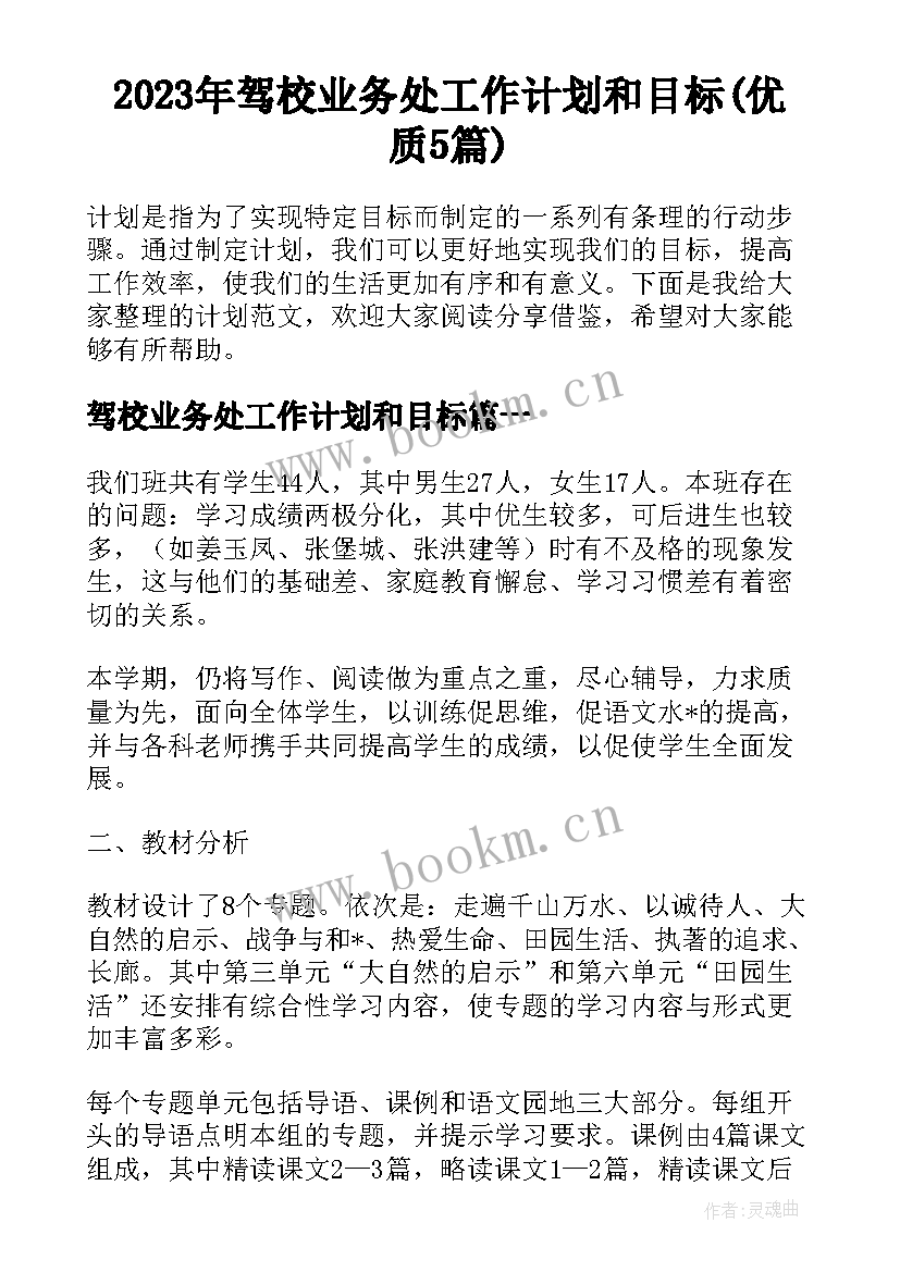 2023年驾校业务处工作计划和目标(优质5篇)