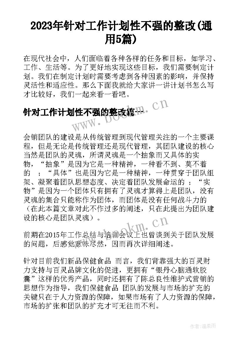 2023年针对工作计划性不强的整改(通用5篇)