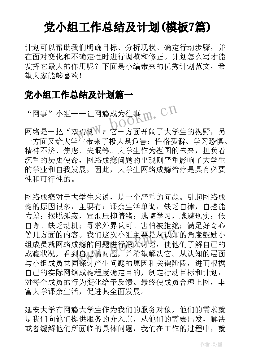 党小组工作总结及计划(模板7篇)