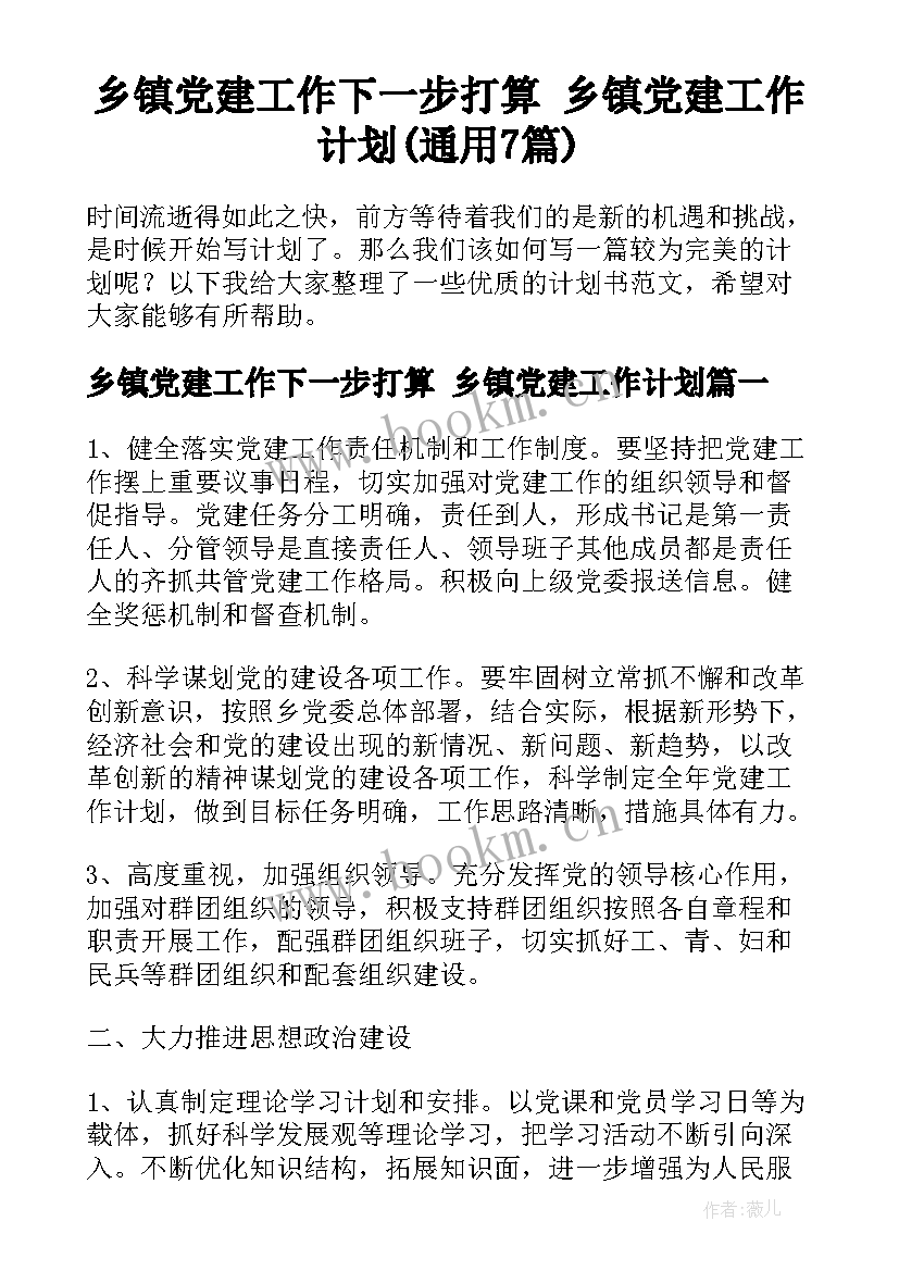 乡镇党建工作下一步打算 乡镇党建工作计划(通用7篇)