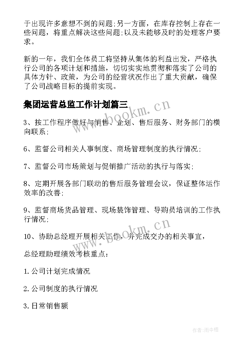 最新集团运营总监工作计划(通用5篇)