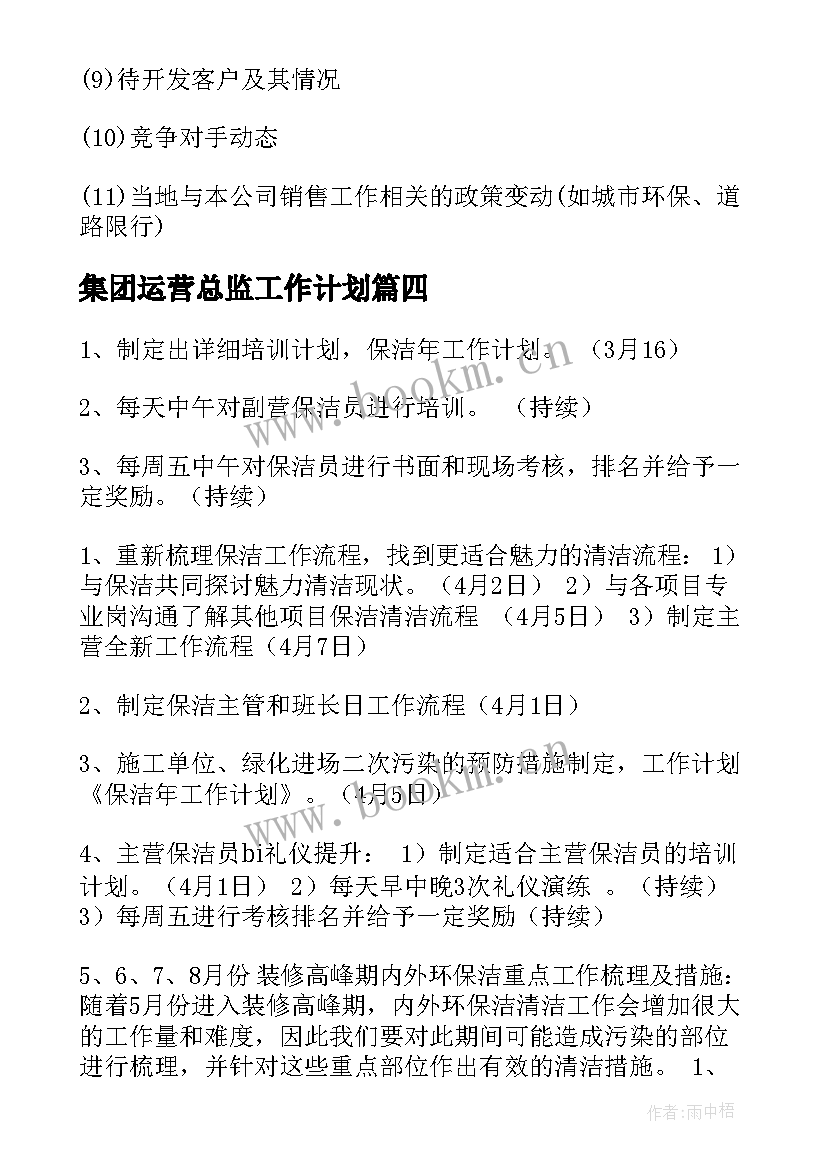 最新集团运营总监工作计划(通用5篇)