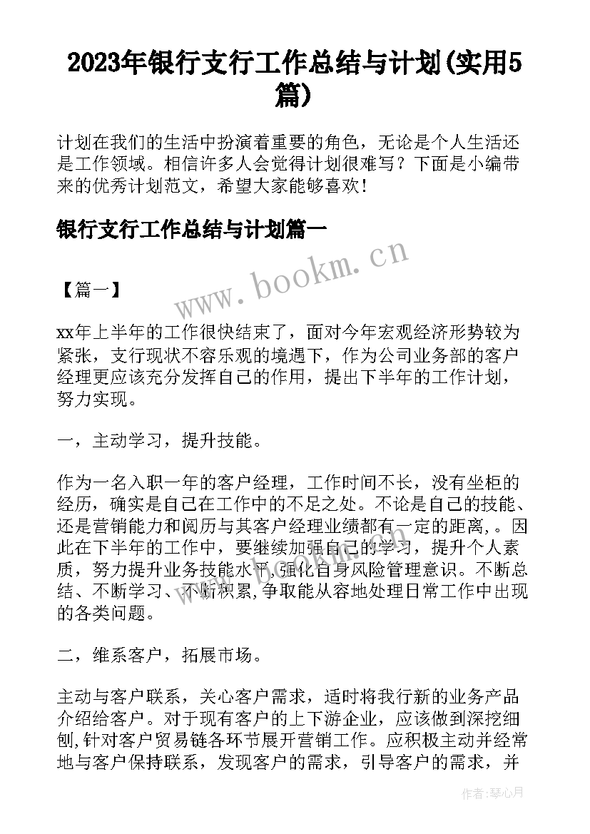 2023年银行支行工作总结与计划(实用5篇)