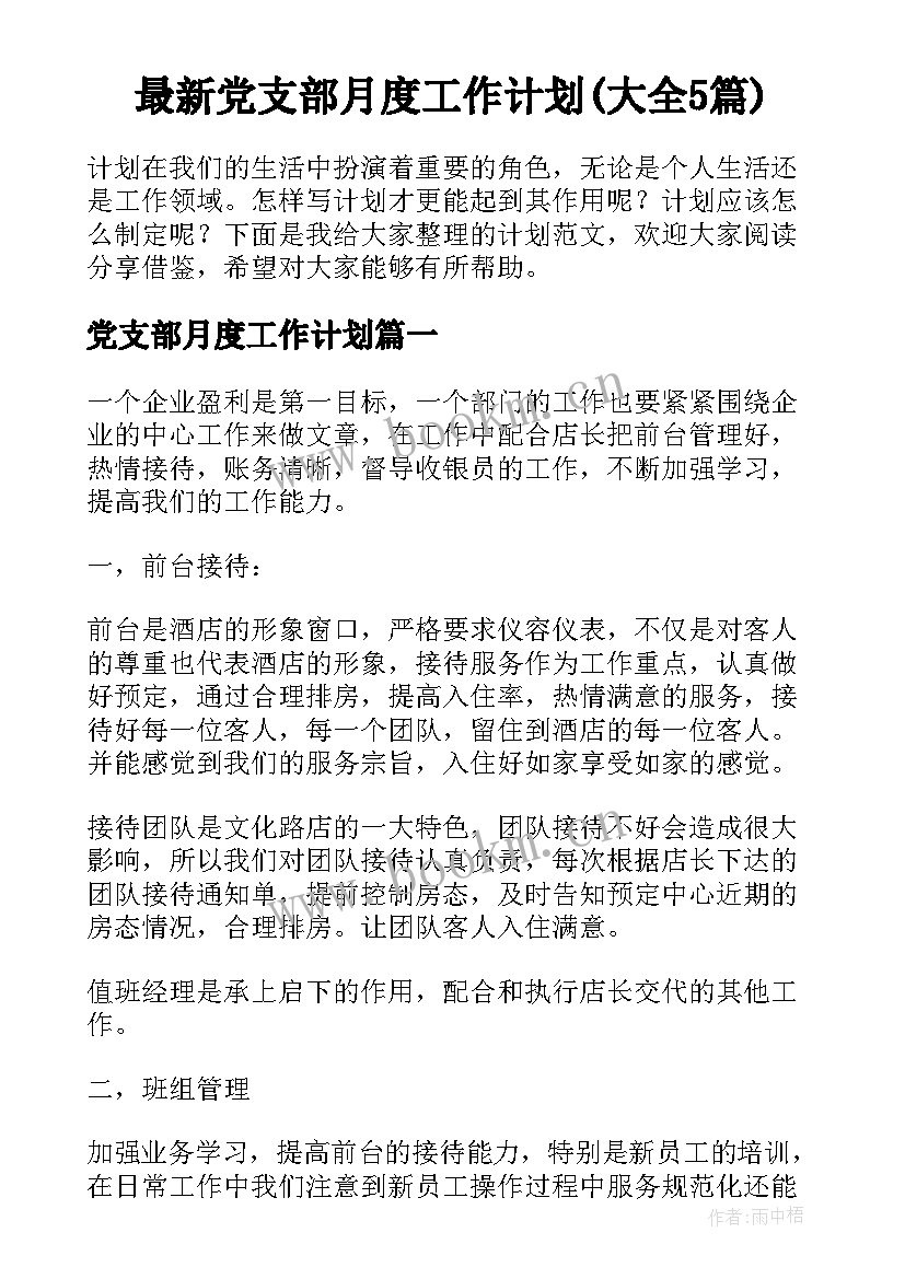 最新党支部月度工作计划(大全5篇)