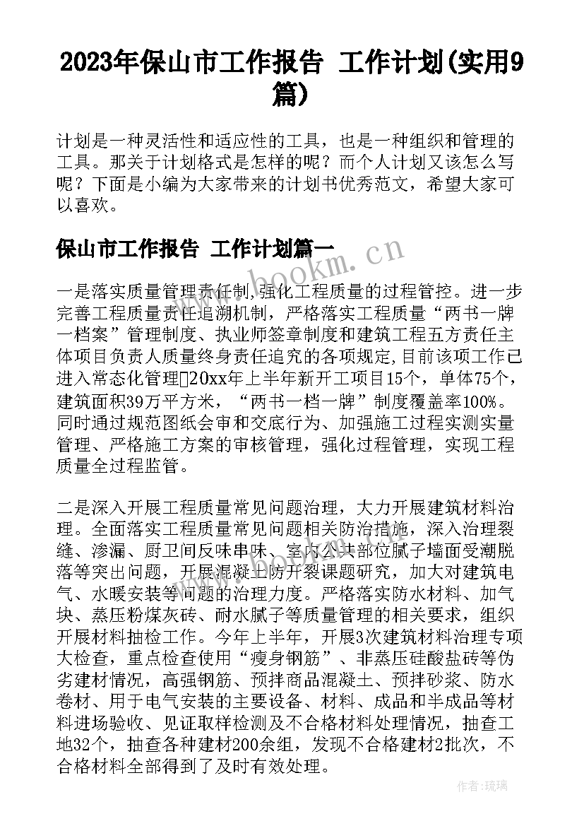 2023年保山市工作报告 工作计划(实用9篇)