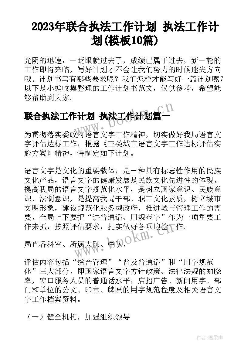 2023年联合执法工作计划 执法工作计划(模板10篇)