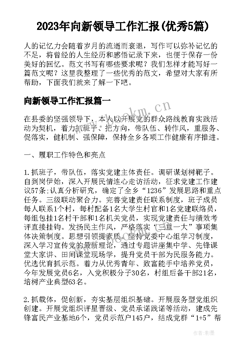 2023年向新领导工作汇报(优秀5篇)