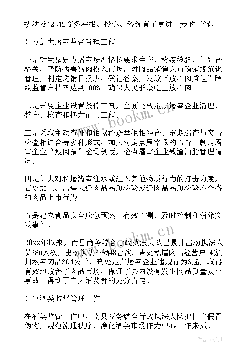 执法中队案件工作总结(模板5篇)