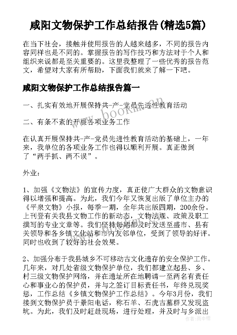 咸阳文物保护工作总结报告(精选5篇)