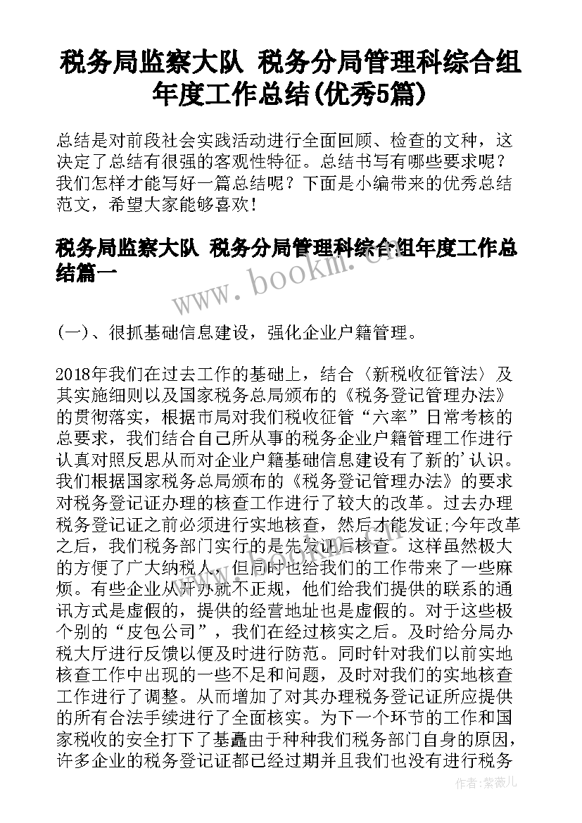 税务局监察大队 税务分局管理科综合组年度工作总结(优秀5篇)