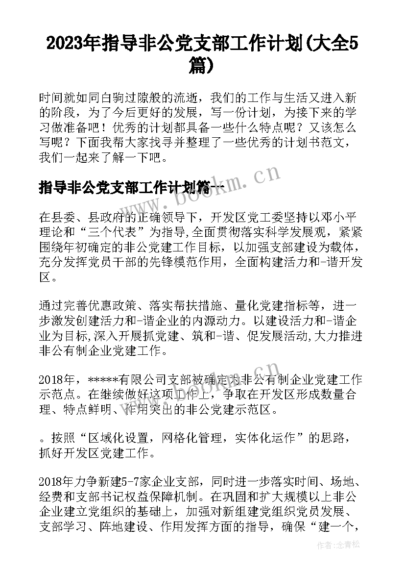 2023年指导非公党支部工作计划(大全5篇)