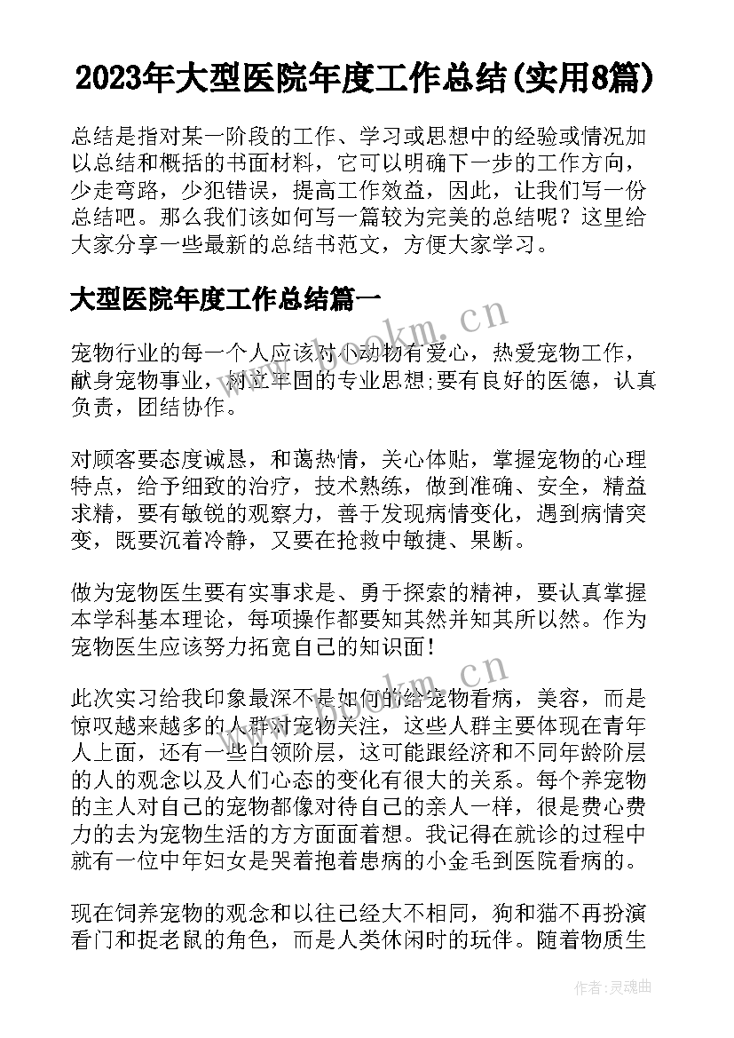 2023年大型医院年度工作总结(实用8篇)