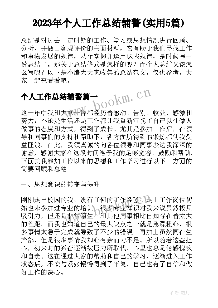 2023年个人工作总结辅警(实用5篇)