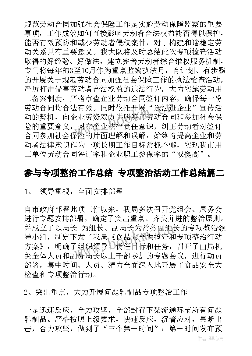 2023年参与专项整治工作总结 专项整治活动工作总结(优质7篇)