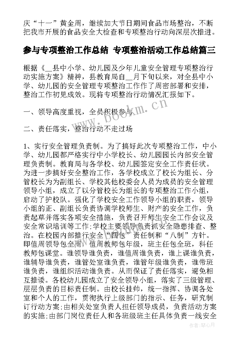 2023年参与专项整治工作总结 专项整治活动工作总结(优质7篇)