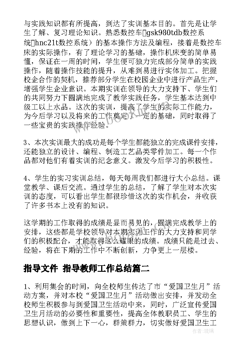 最新指导文件 指导教师工作总结(大全8篇)