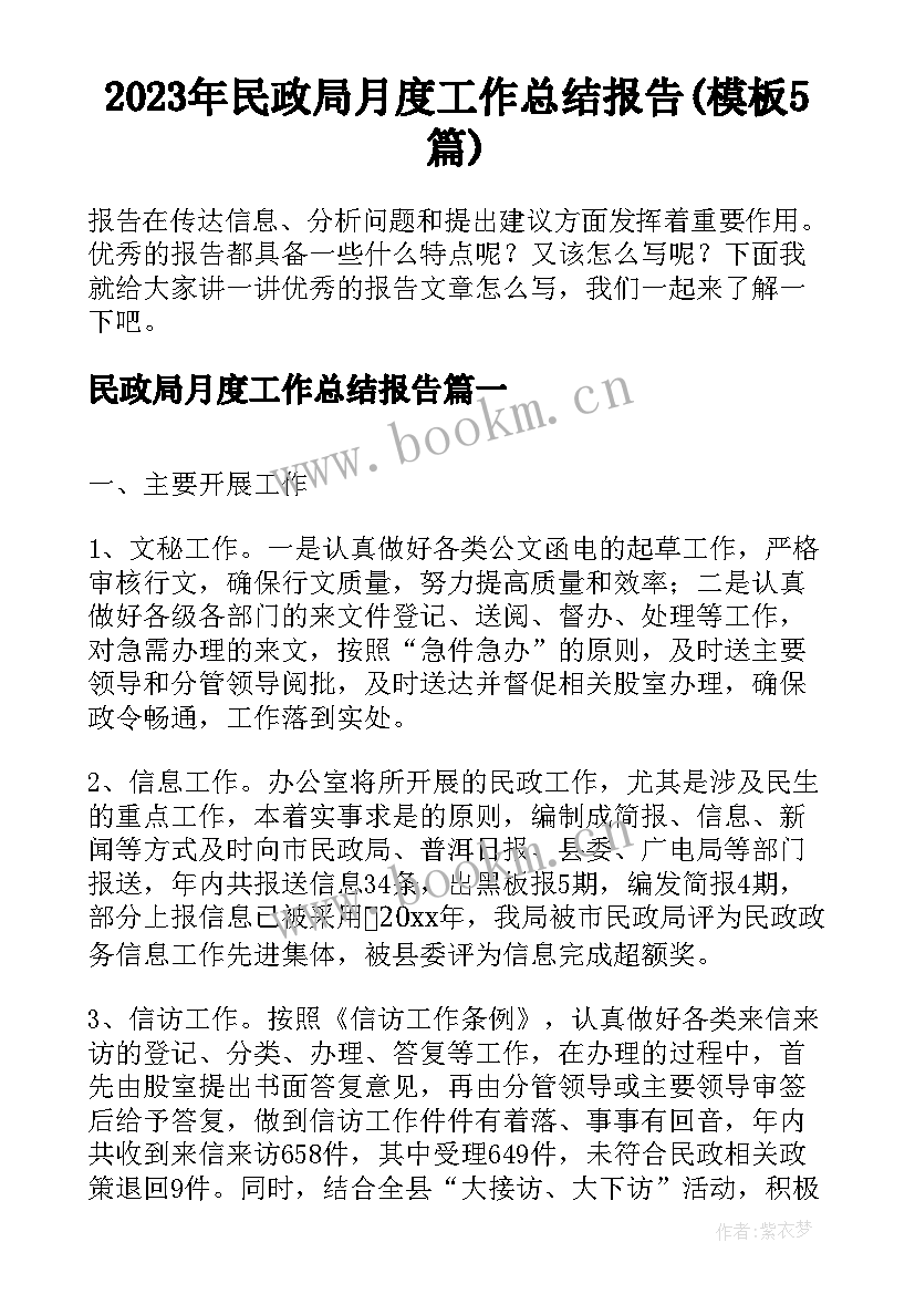 2023年民政局月度工作总结报告(模板5篇)