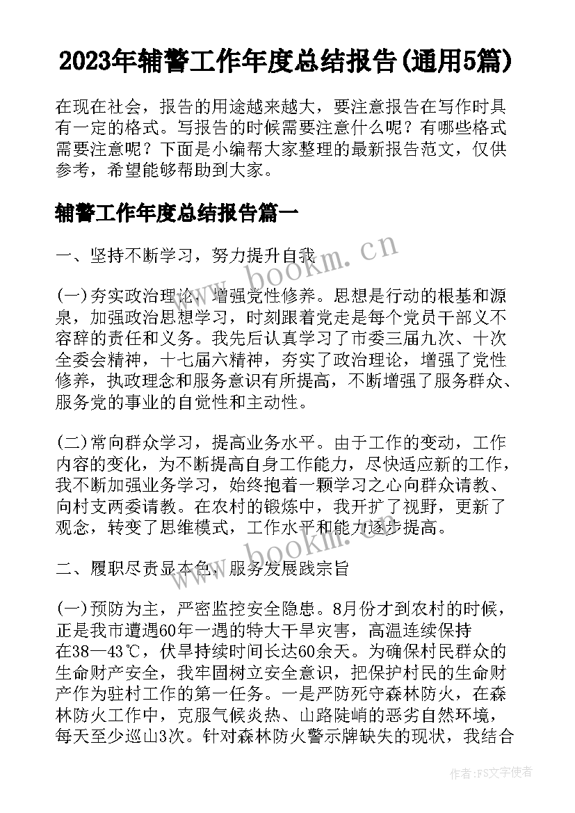 2023年辅警工作年度总结报告(通用5篇)