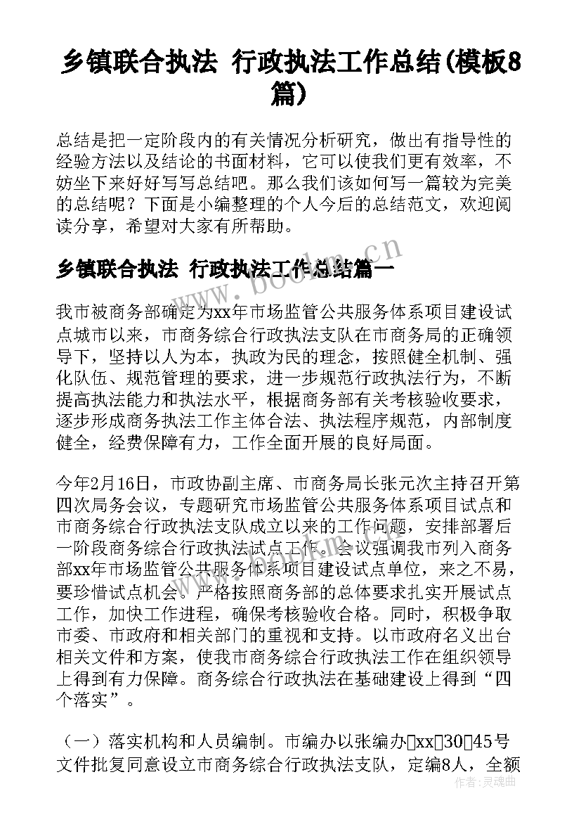 乡镇联合执法 行政执法工作总结(模板8篇)