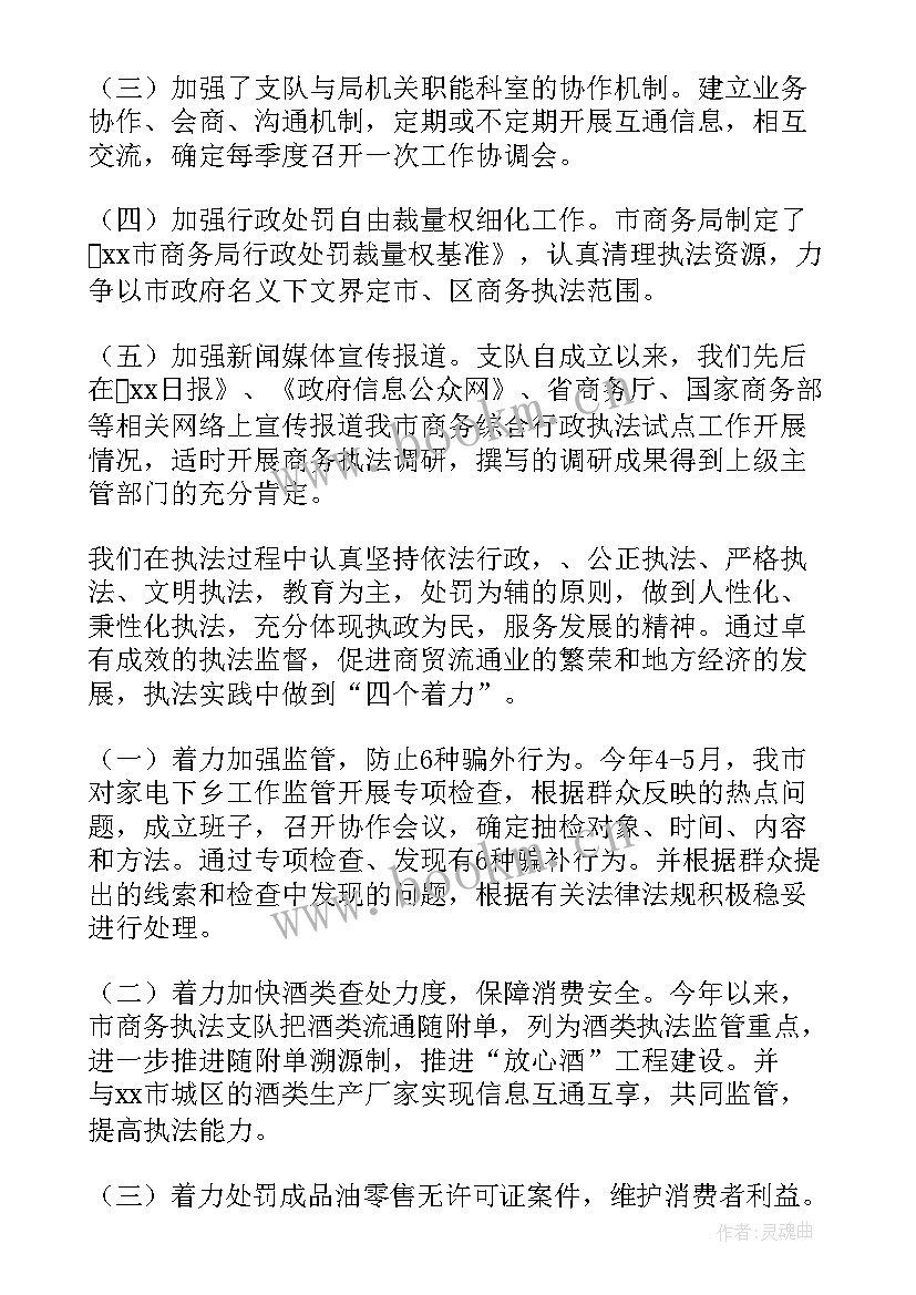 乡镇联合执法 行政执法工作总结(模板8篇)