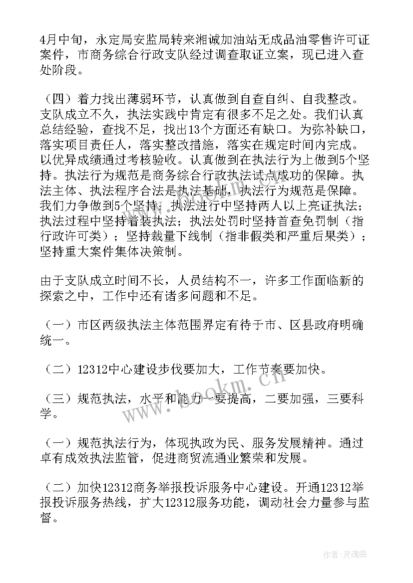 乡镇联合执法 行政执法工作总结(模板8篇)