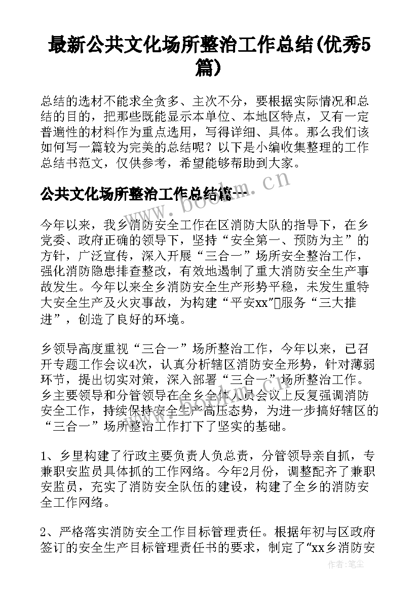 最新公共文化场所整治工作总结(优秀5篇)