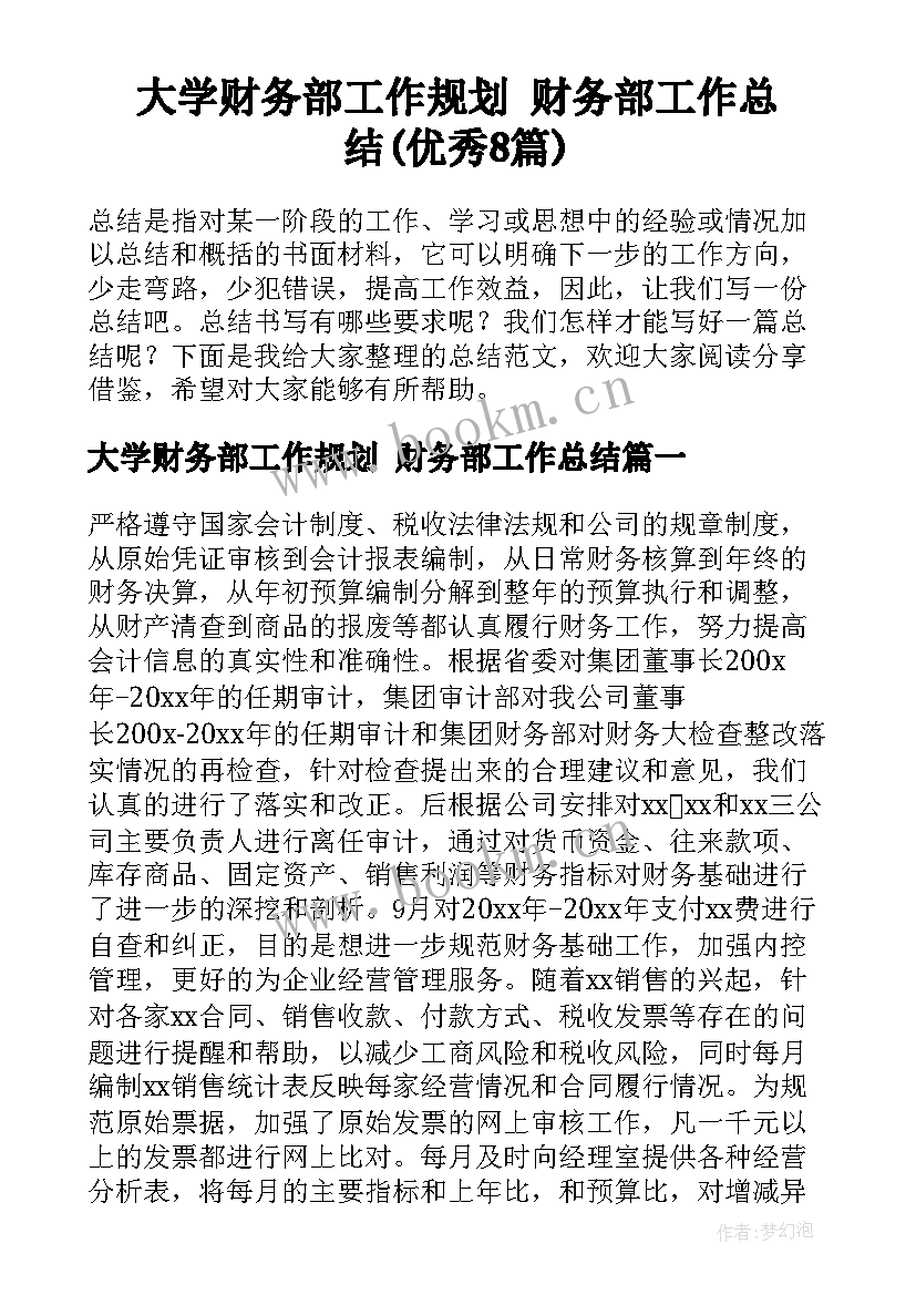 大学财务部工作规划 财务部工作总结(优秀8篇)