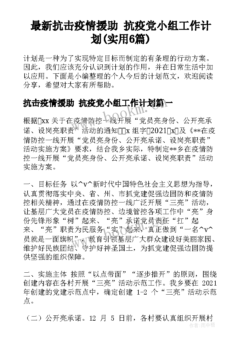 最新抗击疫情援助 抗疫党小组工作计划(实用6篇)