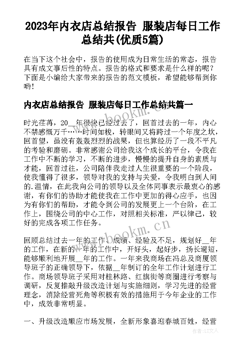 2023年内衣店总结报告 服装店每日工作总结共(优质5篇)