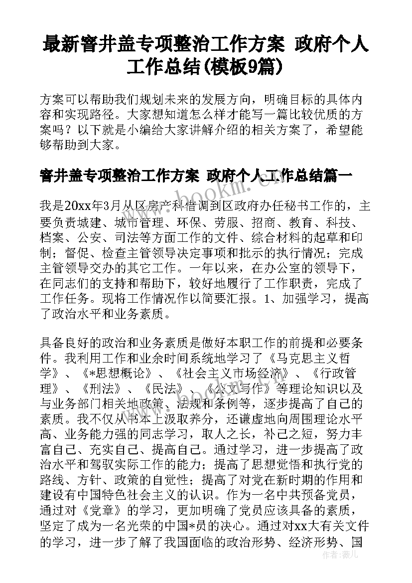 最新窨井盖专项整治工作方案 政府个人工作总结(模板9篇)